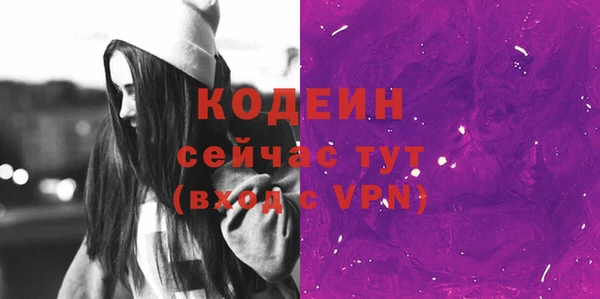 трава Няндома