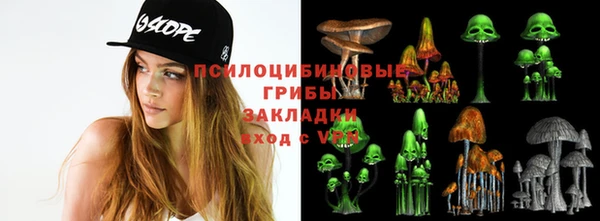 трава Няндома