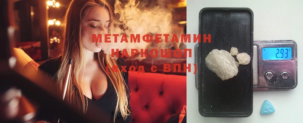 трава Няндома