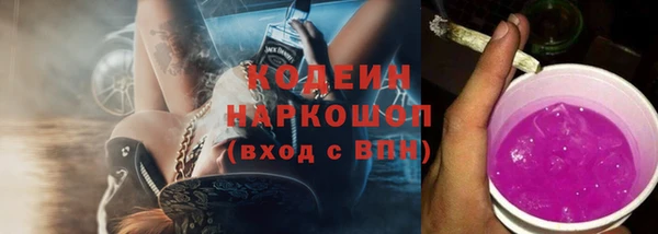 трава Няндома