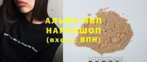 трава Няндома