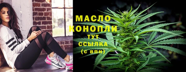 трава Няндома