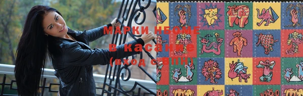 трава Няндома
