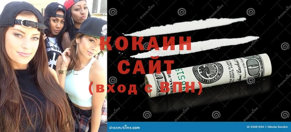 трава Няндома