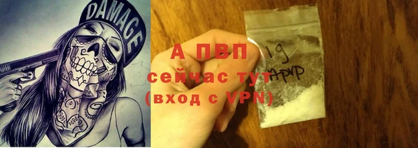 трава Няндома