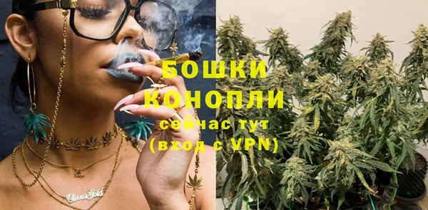 трава Няндома